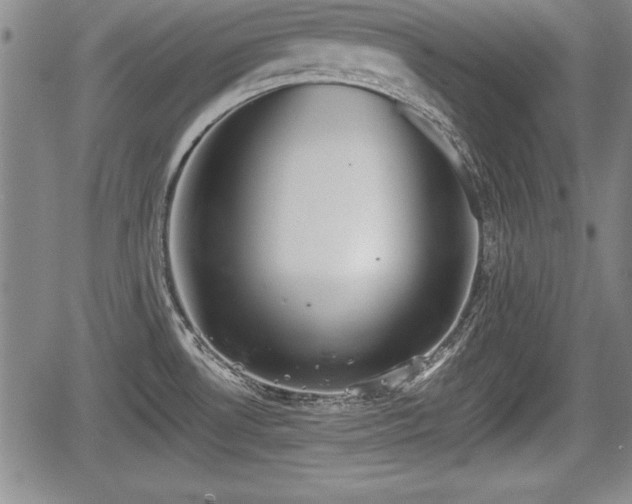 X0000067501530200604101218