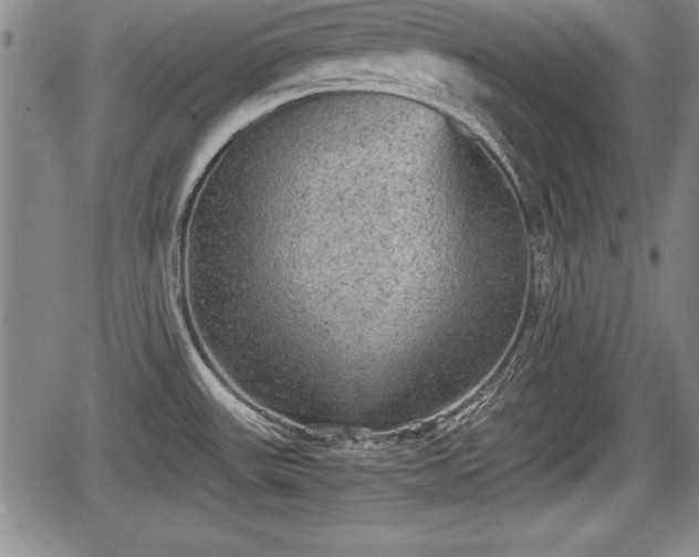 X0000067501531200604101218