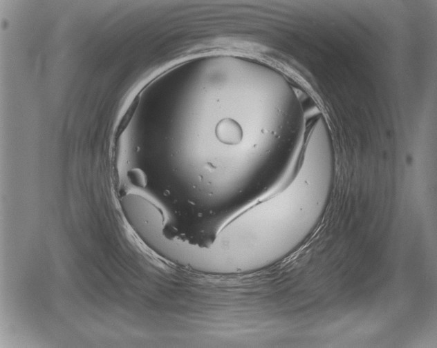 X0000067501532200604101218