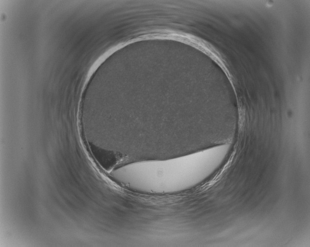 X0000067501533200604101218