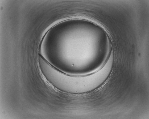 X0000067501534200604101218