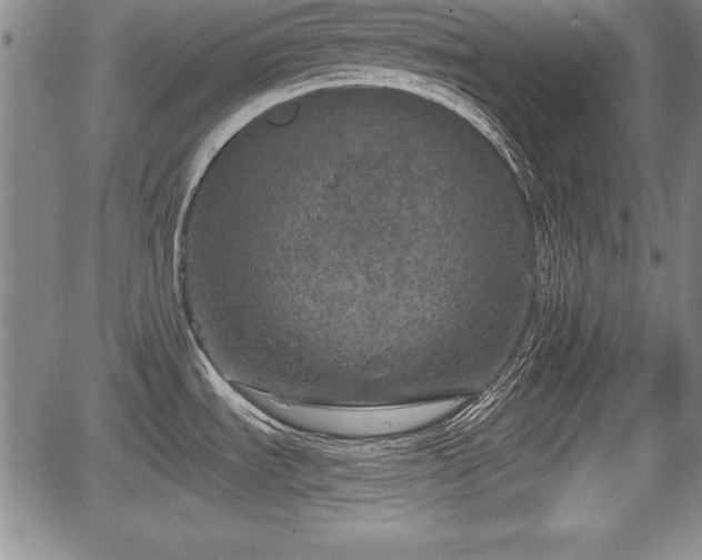 X0000067501535200604101218