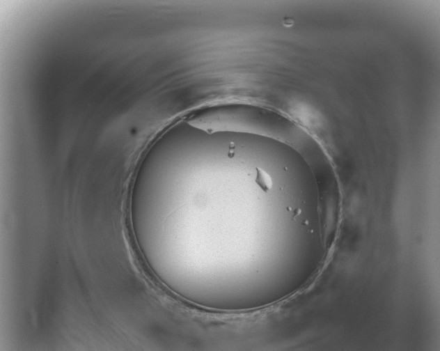 X0000067500001200604150119