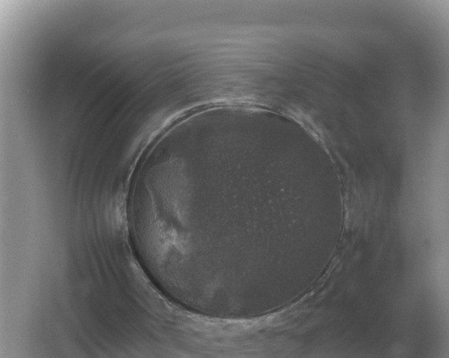 X0000067500002200604150119