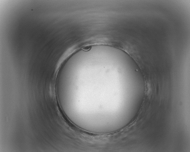 X0000067500004200604150119