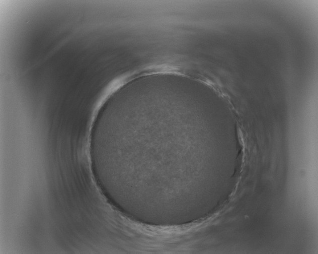 X0000067500006200604150119