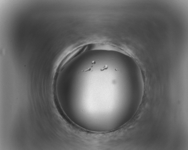 X0000067500007200604150119