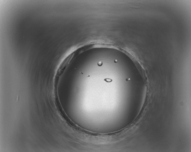 X0000067500008200604150119