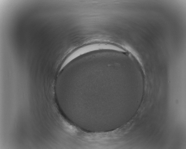 X0000067500009200604150119