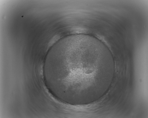 X0000067500010200604150119