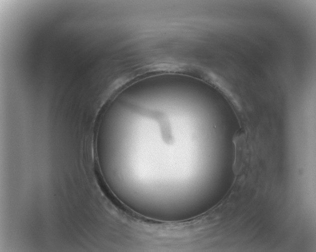 X0000067500011200604150119