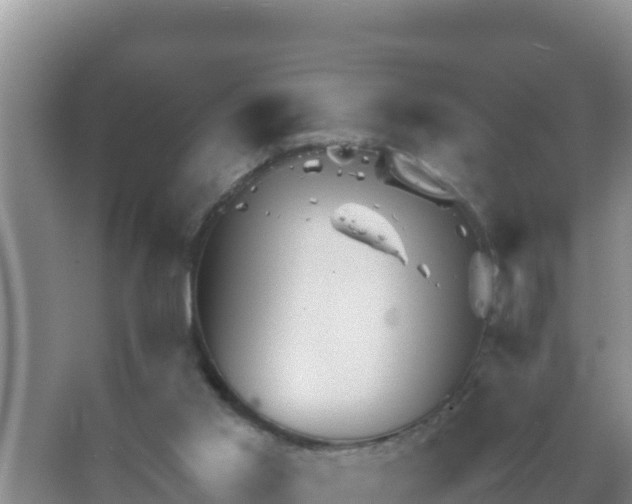 X0000067500013200604150119