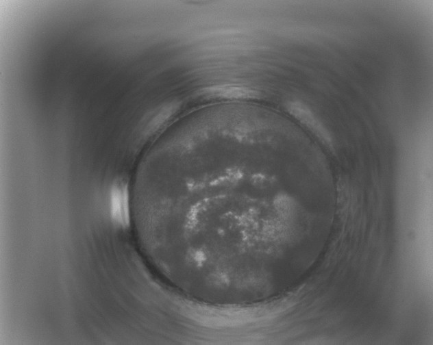 X0000067500014200604150119