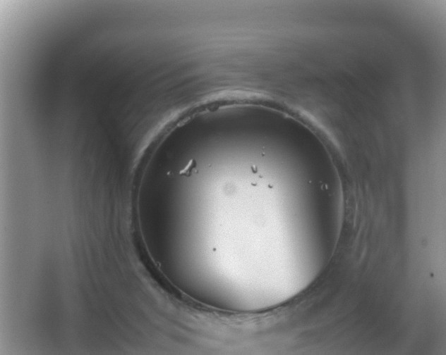 X0000067500015200604150119