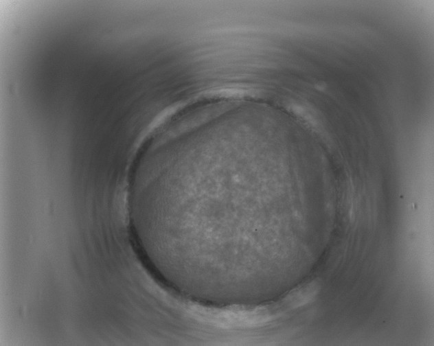 X0000067500016200604150119