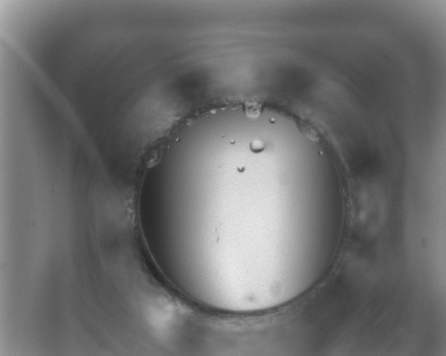 X0000067500017200604150119