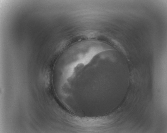 X0000067500018200604150119