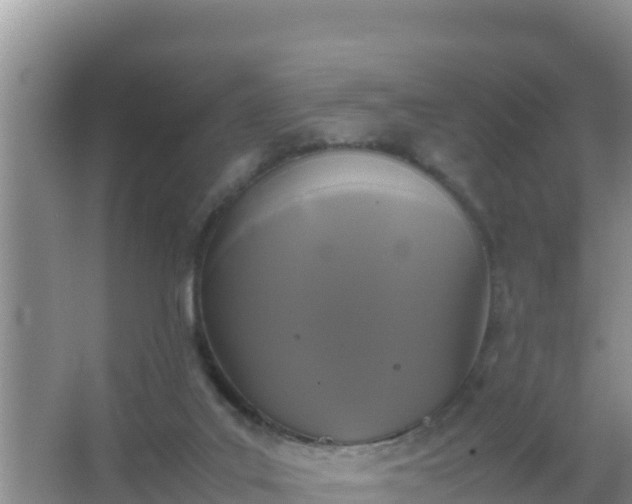 X0000067500019200604150119