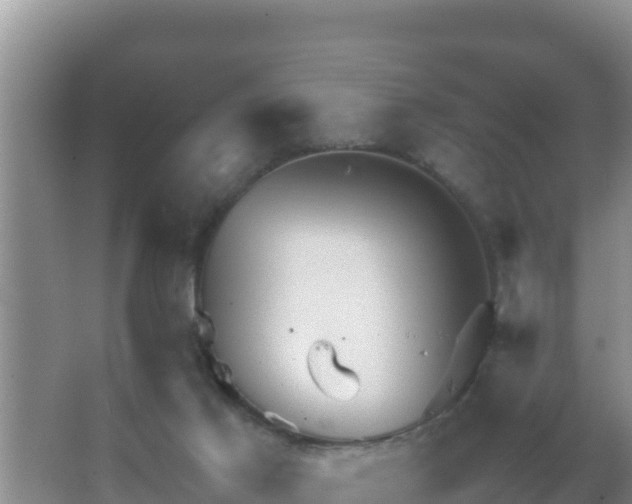 X0000067500021200604150119