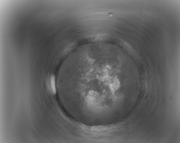 X0000067500022200604150119