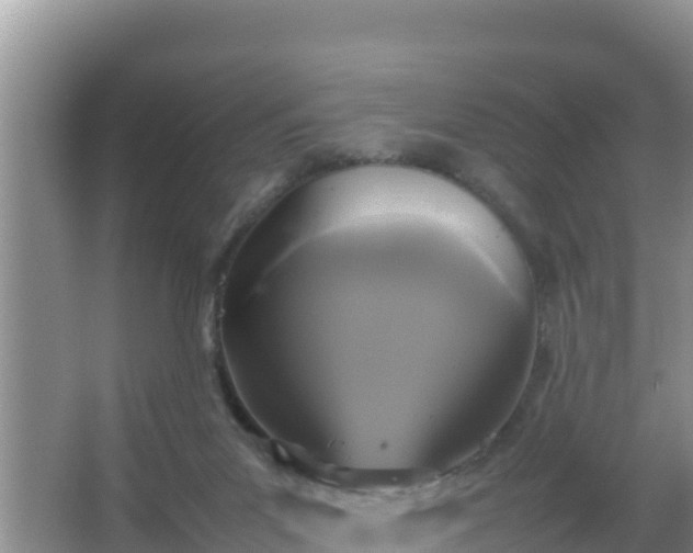 X0000067500023200604150119