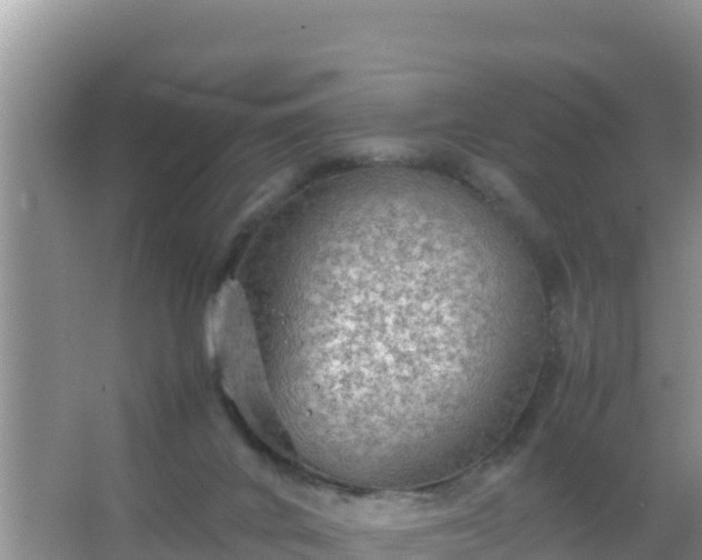 X0000067500024200604150119