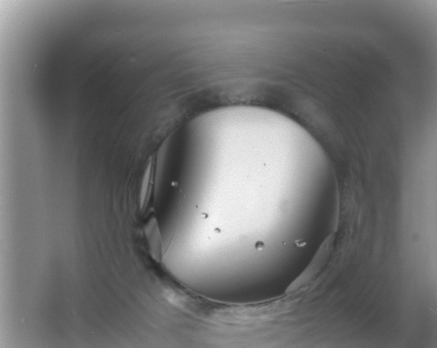 X0000067500025200604150119