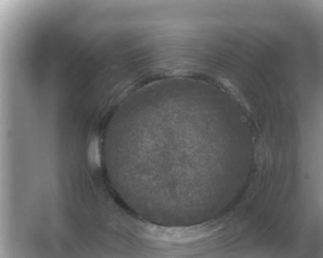 X0000067500026200604150119