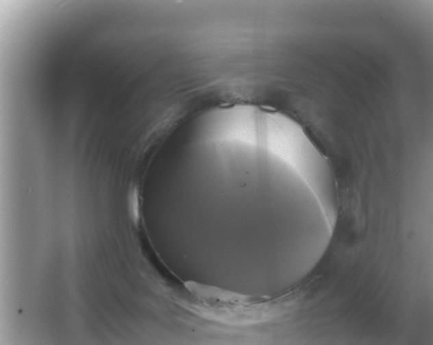 X0000067500027200604150119