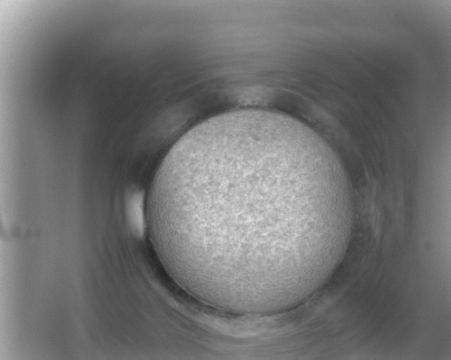 X0000067500028200604150119