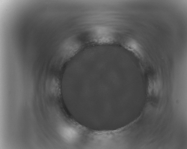 X0000067500029200604150119