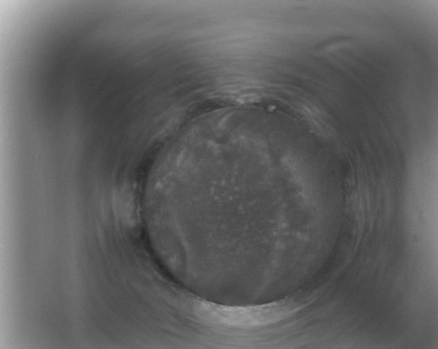 X0000067500030200604150119