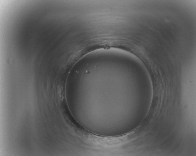 X0000067500031200604150119