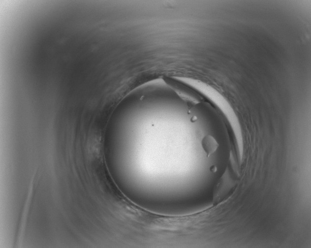 X0000067500033200604150119