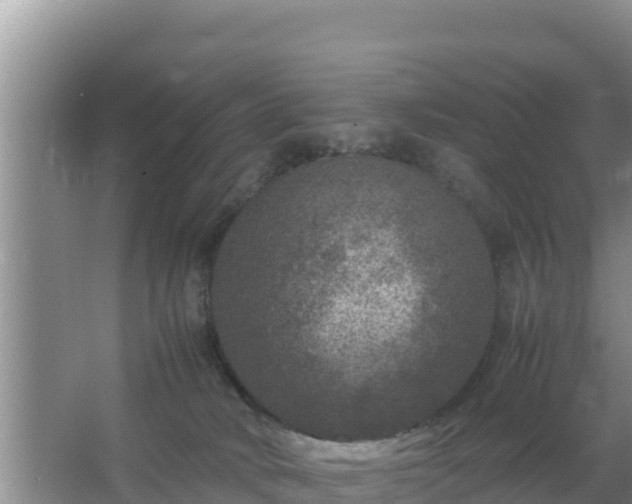 X0000067500034200604150119