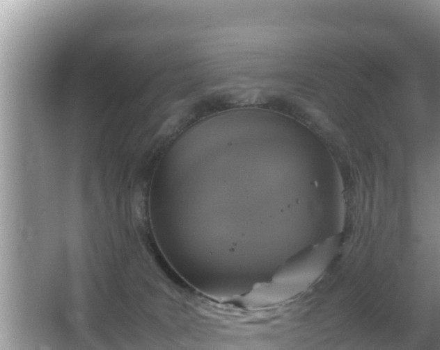 X0000067500035200604150119