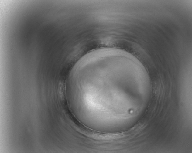 X0000067500036200604150119