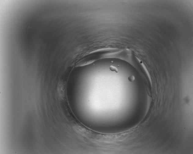 X0000067500037200604150119