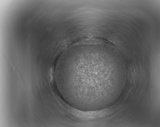 X0000067500038200604150119