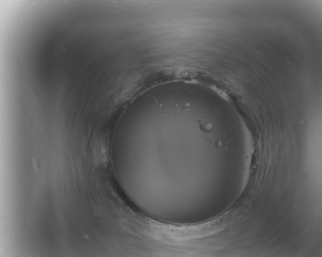 X0000067500039200604150119