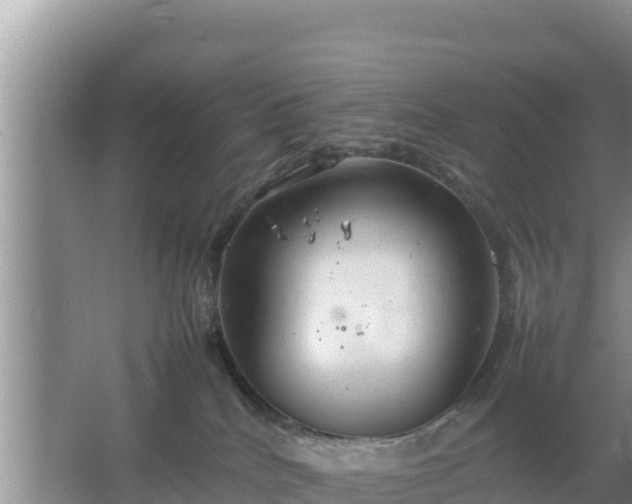 X0000067500040200604150119