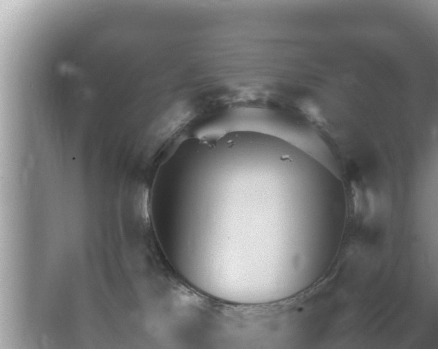 X0000067500041200604150119