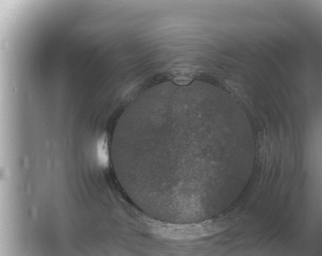 X0000067500042200604150119