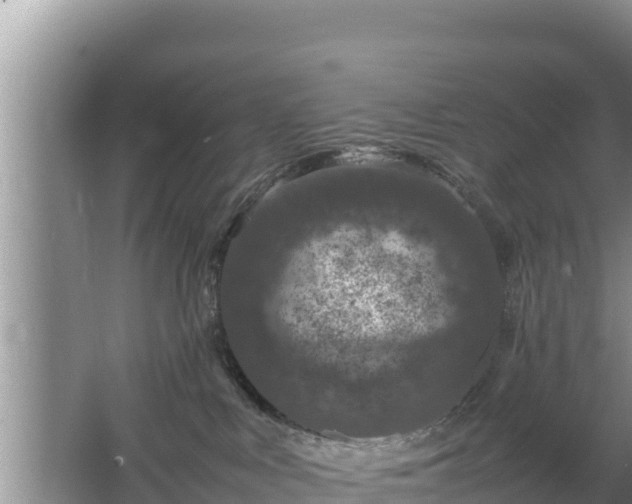 X0000067500043200604150119