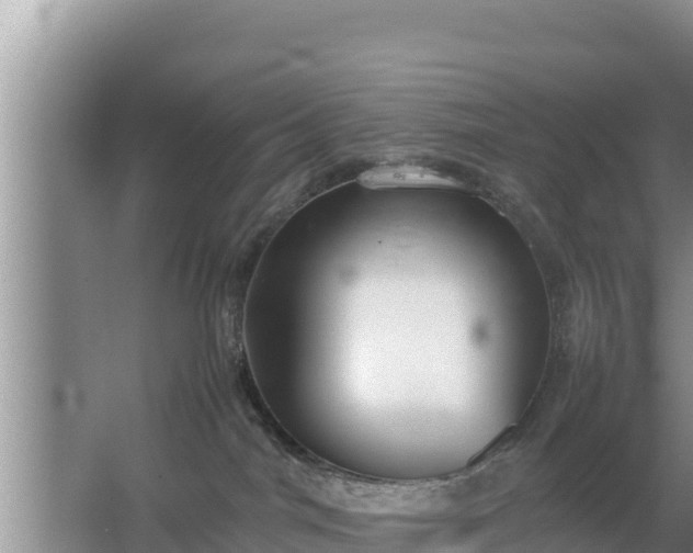 X0000067500044200604150119