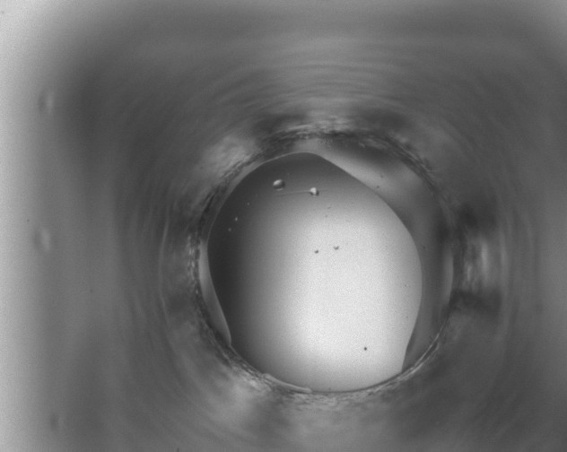 X0000067500045200604150119