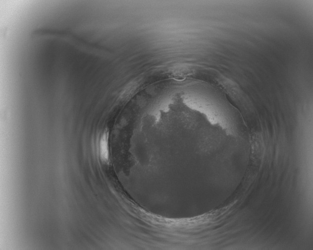 X0000067500046200604150119