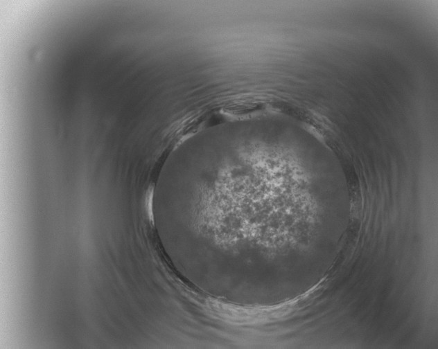 X0000067500047200604150119