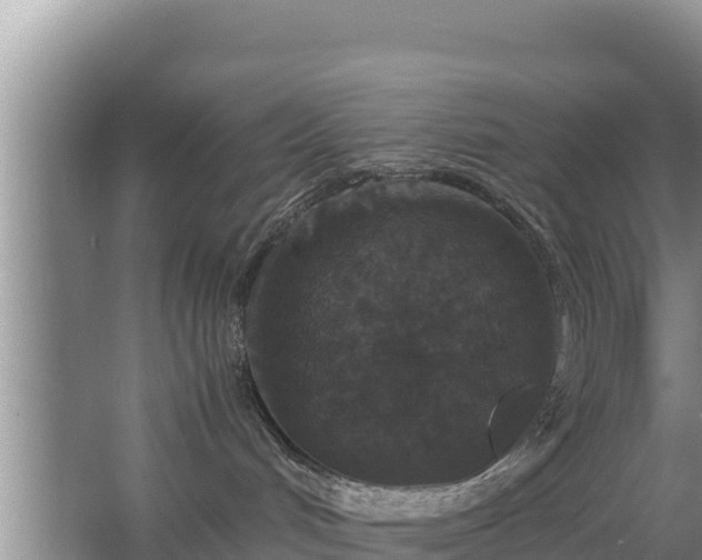 X0000067500048200604150119