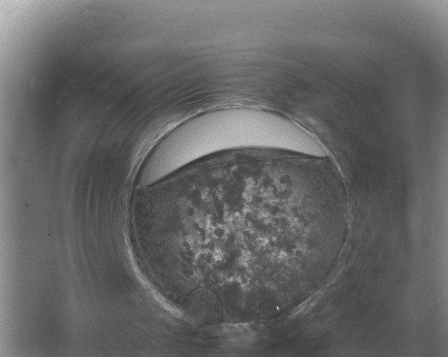 X0000067500049200604150118